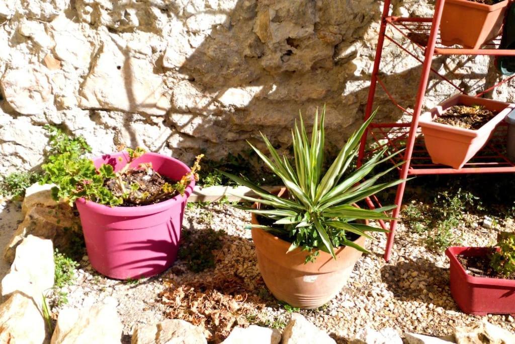 Le Loft Cosy - Centre Ville - Cadre Royal Sète Kültér fotó